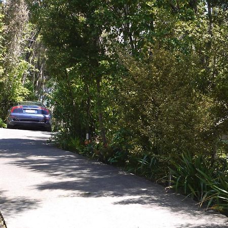 Bay Of Islands Holiday Apartments Paihia Pokój zdjęcie
