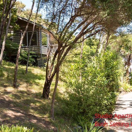 Bay Of Islands Holiday Apartments Paihia Pokój zdjęcie