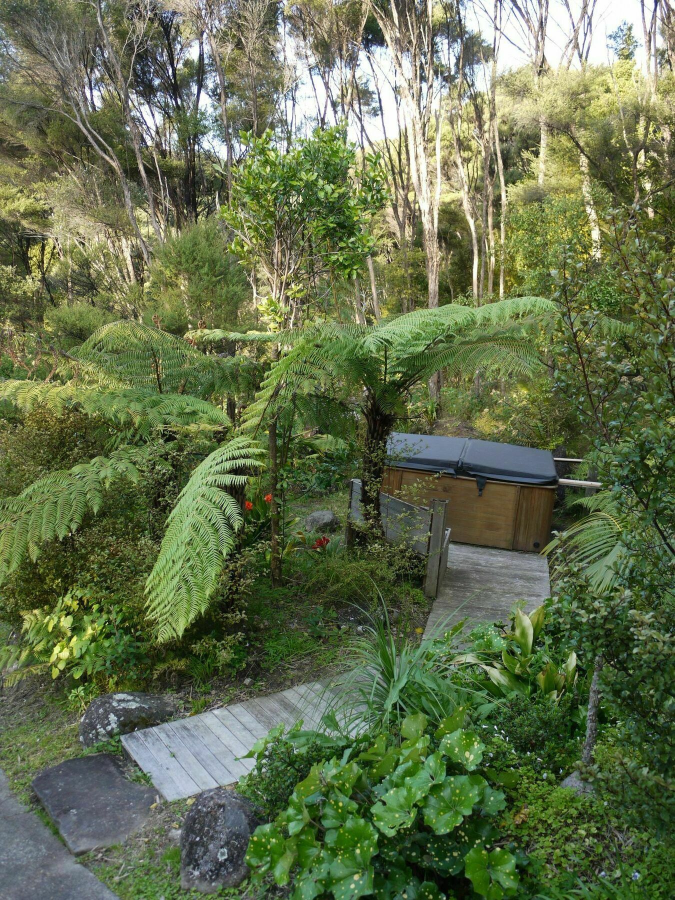 Bay Of Islands Holiday Apartments Paihia Zewnętrze zdjęcie